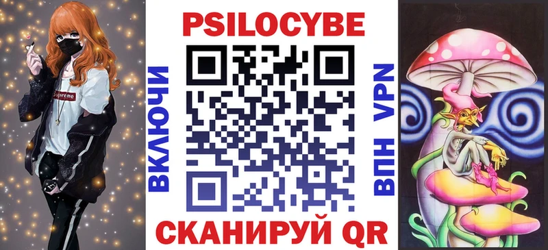 где найти   Луза  Галлюциногенные грибы Cubensis 